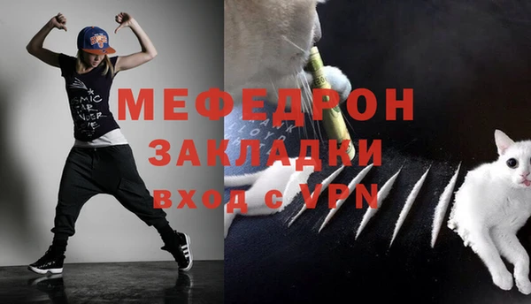 стаф Аркадак