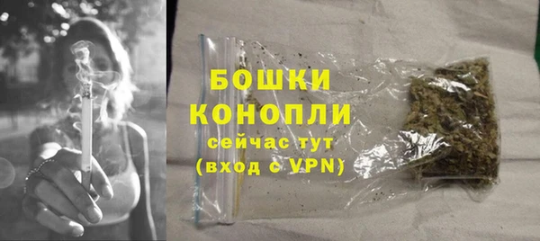 стаф Аркадак