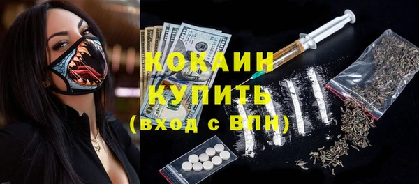 стаф Аркадак